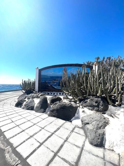 Villa Casa A 50 Metros De La Playa. Supreme Pedro El Socorro Esterno foto